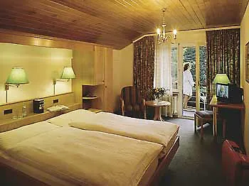 Matterhorn 3* Tasch
